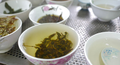 泡茶師通信教育講座