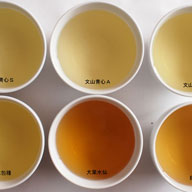 第十一回(品種)