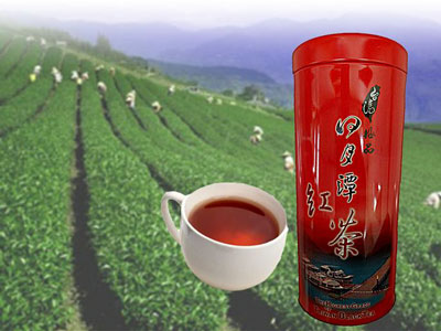 日月潭紅茶