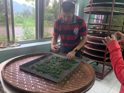 製茶体験